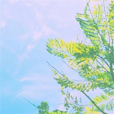 盾之勇者成名录手游日服下载